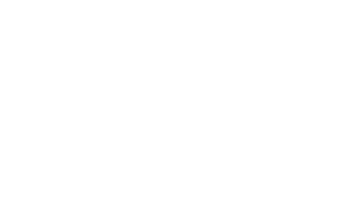 STELS